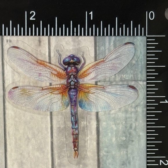 🌀10/$10🌀 Translucent Moth Dragonfly Beetle Reusable Waterproof Sticker Decal - Picture 1 of 1